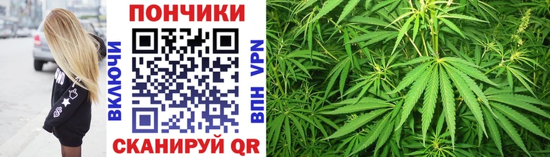 Где купить Энем Гашиш  kraken рабочий сайт  АМФ  Меф мяу мяу  A PVP  Бошки Шишки 