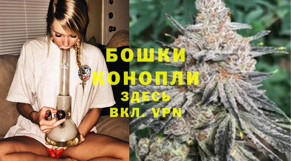 эйфоретик Бородино