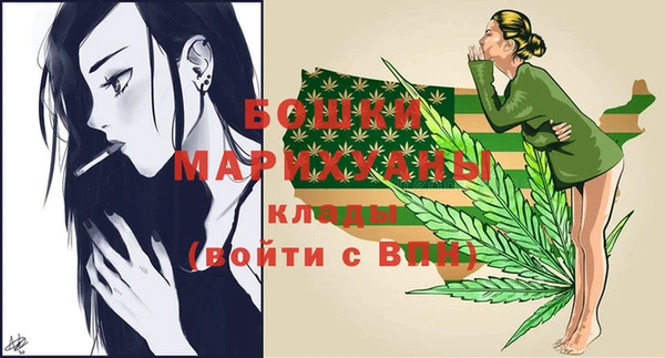 эйфоретик Бородино