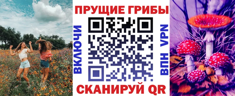что такое наркотик  Энем  Псилоцибиновые грибы MAGIC MUSHROOMS 
